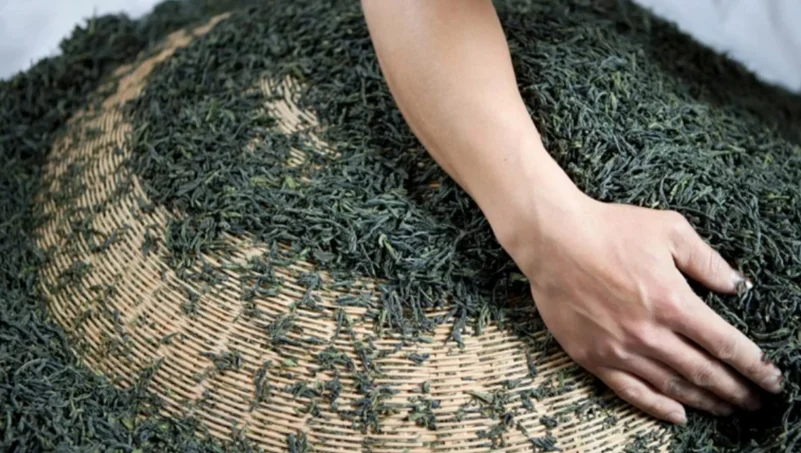 Thập Đại Danh Trà nổi tiếng "tuyệt đối ngon" của Trung Quốc - Lục An Qua Phiến
